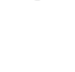Università degli Studi di Vicenza